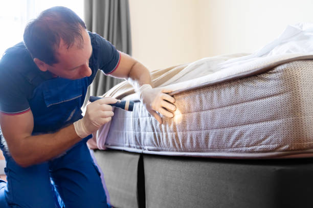 Best Bed Bug Extermination  in Minneola, FL